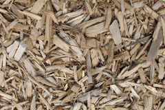 biomass boilers Rhosygilwen