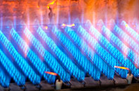 Rhosygilwen gas fired boilers